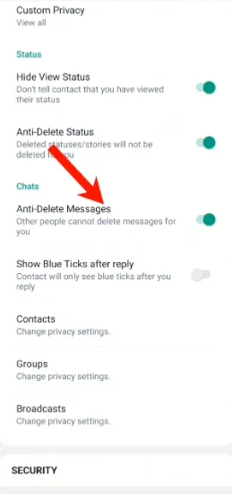 anti delete message feature